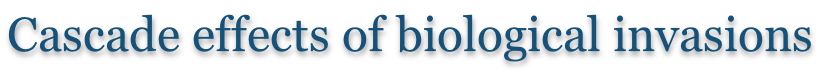 Cascade effects of biological invasions